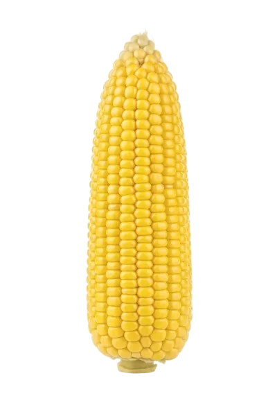 Imagen PNG para descargar